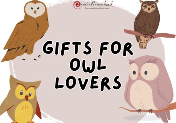 34 Delightful Gifts For Owl Lovers To Impress Them 54 Gifts For Owl Lovers