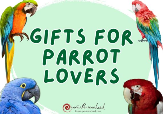 The 20 Best Gifts For Parrot Lovers: A Comprehensive List 53 Gifts For Parrot Lovers