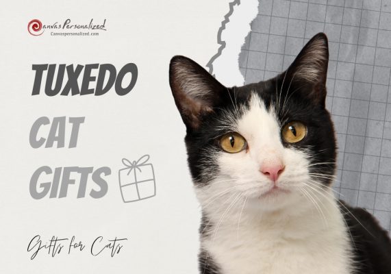 Tuxedo Cat Gifts: 22 Ideas To Celebrate Your Bicolor Beauty 37 Tuxedo Cat Gifts