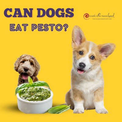 Can Dogs Eat Pesto?