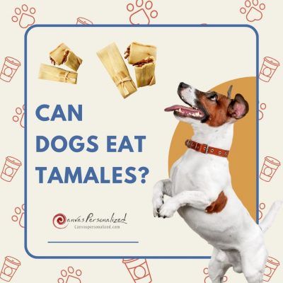 Can Dogs Eat Tamales?