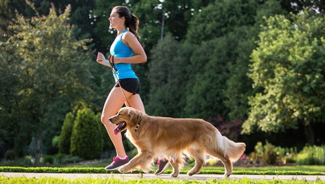 How To Make Dogs Poop Quickly? 11 Easy Ways In 2023 20 How To Make Dog Poop Faster
