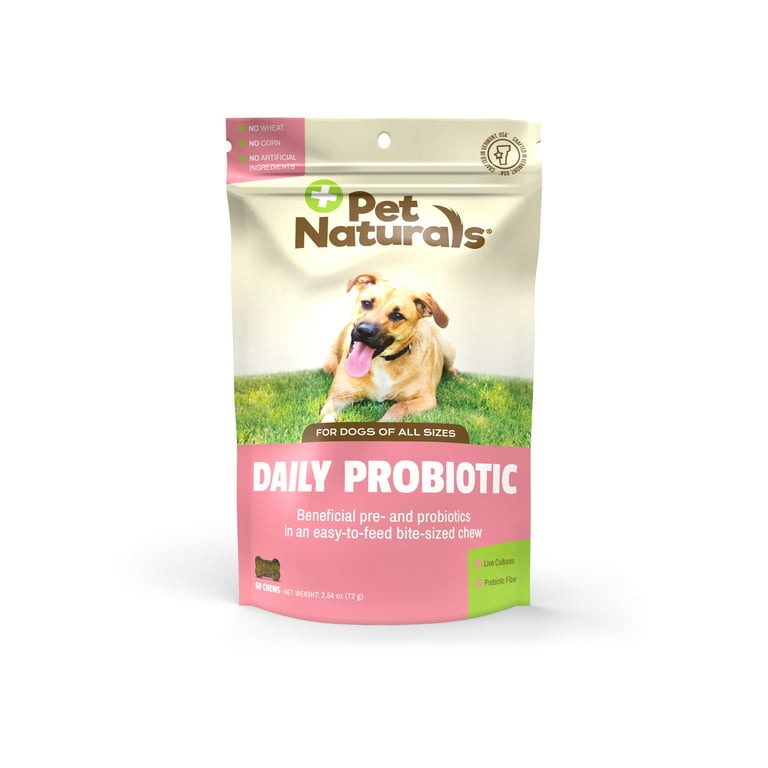 How To Make Dogs Poop Quickly? 11 Easy Ways In 2023 16 Food That Make Dogs Poop