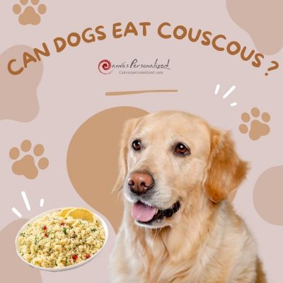 Can Dogs Eat Couscous?