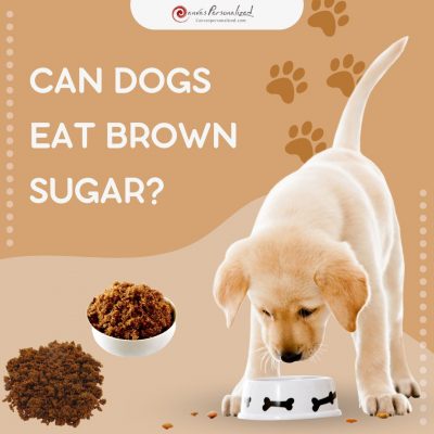 Can Dogs Eat Brown Sugar?