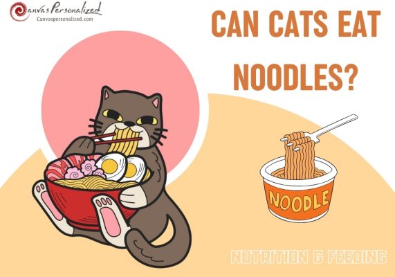 Can Cats Eat Noodles? The Truth About This Common Food 23 Can Cats Eat Noodles