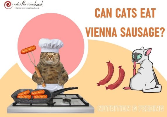 Unlock The Truth: Can Cats Eat Vienna Sausage? 22 Can Cats Eat Vienna Sausage