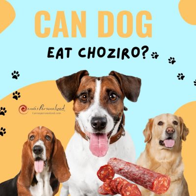Can Dogs Eat Chorizo? 4 Risks Of Chorizo For Your Dogs 60 Can Dogs Eat Choziro