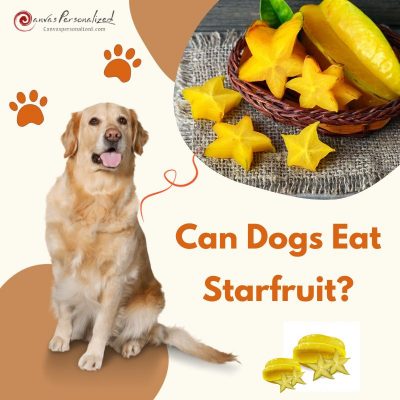 Can Dogs Eat Starfruit? No! Here'S Why