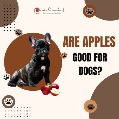 Are Apples Good For Dogs?