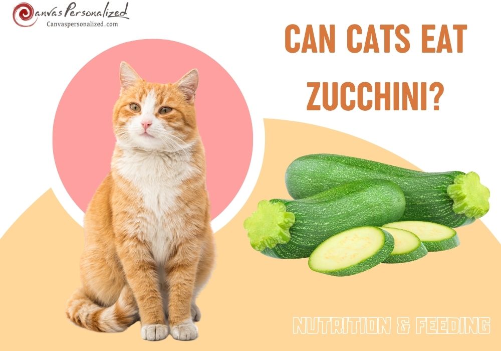 Exploring Can Cats Eat Zucchini? Tips And Risks 9 Can Cats Eat Zucchini