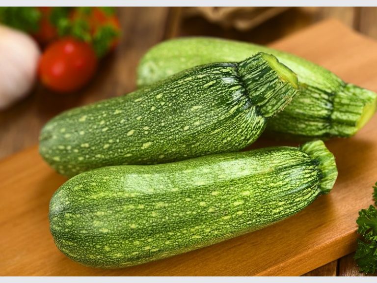 Exploring Can Cats Eat Zucchini? Tips And Risks