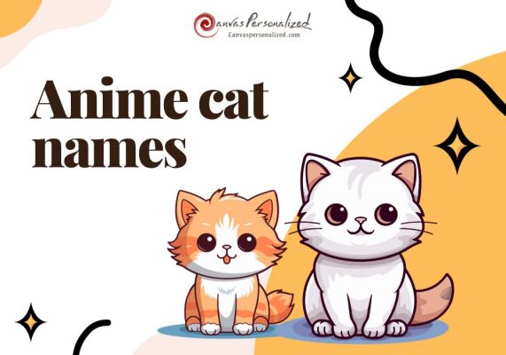 Anime Cat Names