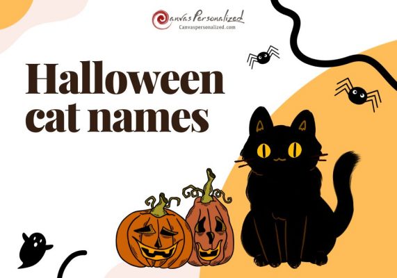 420+ Halloween Cat Names: A Hauntingly Fun Collection 29 Halloween Cat Names