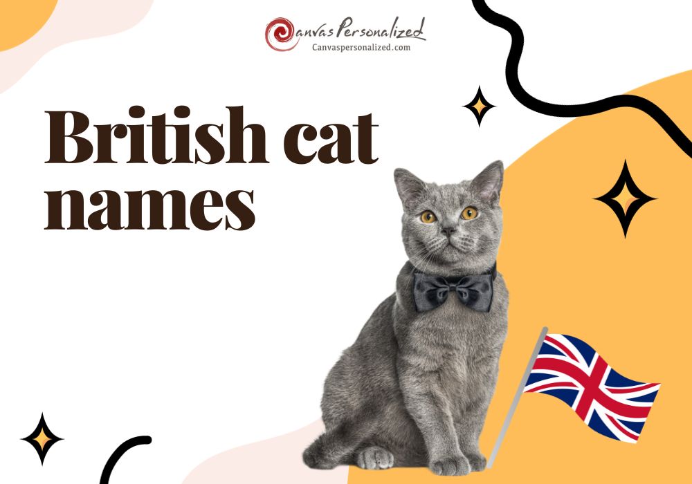 British Cat Names: 410+ Regal Choices You'll Love