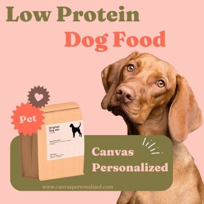 17 Best Low Protein Dog Food That Boosts Their Wellness