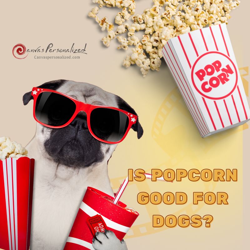 Is Popcorn Good For Dogs? The Truth You Need To Know