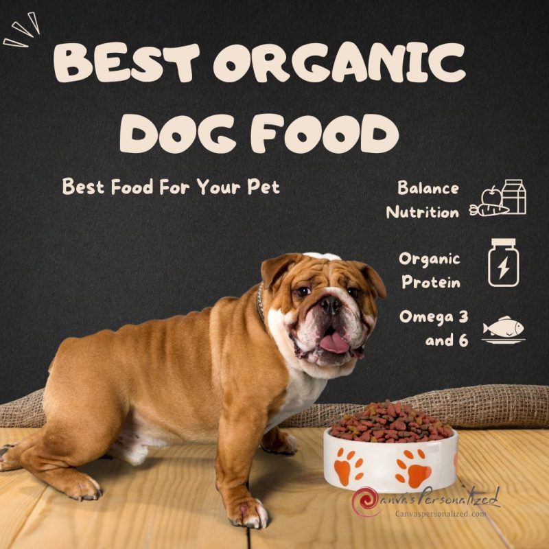 14 Best Organic Dog Food To Keep Your Furry Friend Thriving