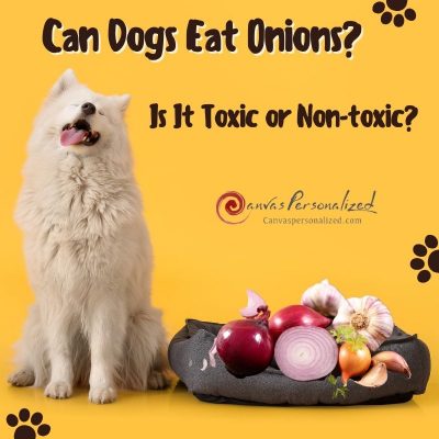 Can Dogs Eat Onions Is It Toxic Or Non toxic