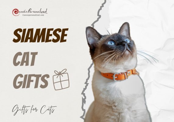 Siamese Cat Gifts: Discover 25+ Options To Surprise Your Meezer Fan 36 Siamese Cat Gifts