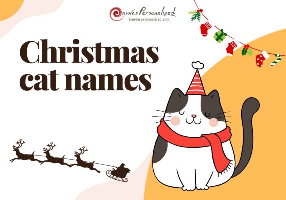 Create Your Holiday Spirit With 250+ Best Christmas Cat Names 27 Create Your Holiday Spirit With 250+ Best Christmas Cat Names