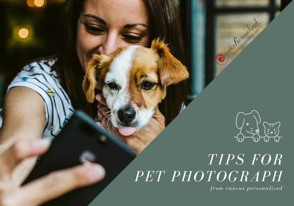Helpful Pet Photography Tips You Need To Know In 2024! 17 Helpful Pet Photography Tips You Need To Know In 2024!